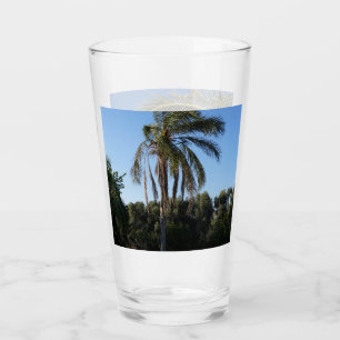 Palmenbaum unter einem klaren Himmel versetzen Glas