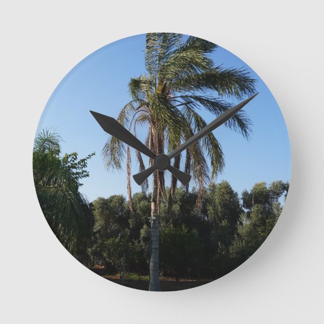Palmenbaum unter einem klaren Himmel versetzen Runde Wanduhr (Vorderseite)