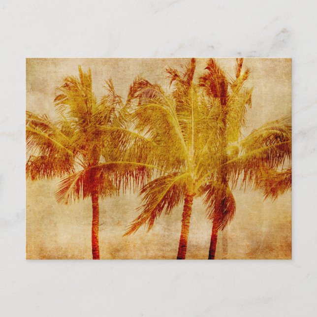 Palmenbaum Vintage        Postkarte (Vorderseite)