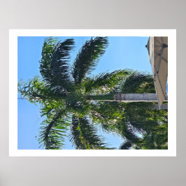 Palmenbaumplakat Poster