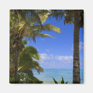 Palmenbestandene Strand Cook Islands 2 Magnet