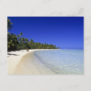 Palmenbestandene Strand Cook Islands 8 Postkarte