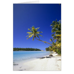 Palmenbestandene Strand Cookinseln