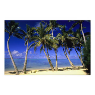 Palmenbestandene Strand Cookinseln 3 Fotodruck