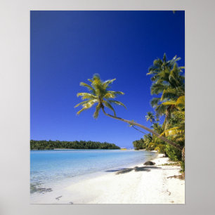 Palmenbestandene Strand Cookinseln Poster