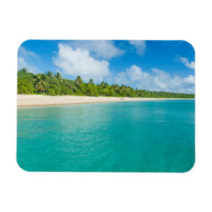 Palmenbestandene Strand, Tonga Magnet
