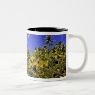 Palmenbestandene Strände Cookinseln 6 Zweifarbige Tasse
