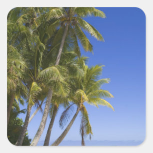 Palmenbestandener Strand Cook Islands 3 Quadratischer Aufkleber