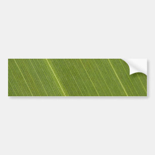 Palmenblatt Autoaufkleber