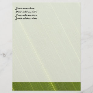 Palmenblatt-Briefkopf-Design Briefbogen