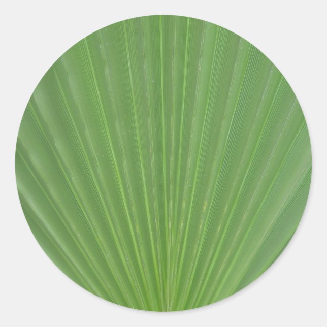 Palmenblatt Runder Aufkleber (Vorderseite)