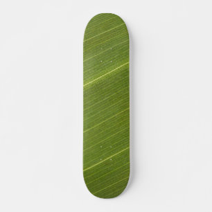 Palmenblatt Skateboard