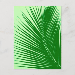Palmenblatt - Smaragd und Limettengrün Postkarte