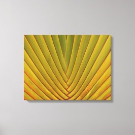 Palmenblätter Leinwanddruck