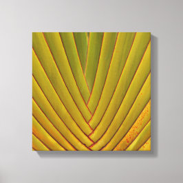 Palmenblätter Leinwanddruck