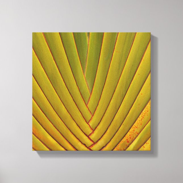 Palmenblätter Leinwanddruck (Vorderseite)