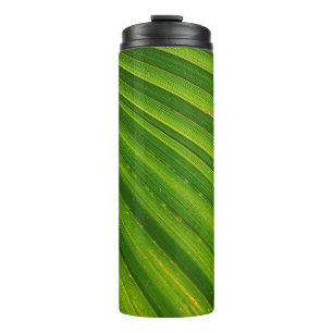 Palmenblätterpalmen Thermosbecher