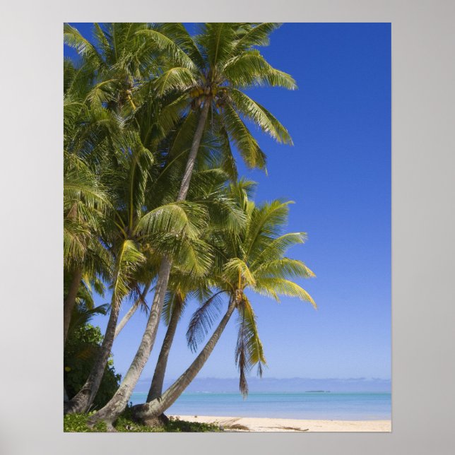Palmengesäumter Strand Cook Inseln 3 Poster (Vorne)