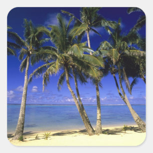 Palmengesäumter Strand Cook Inseln 4 Quadratischer Aufkleber