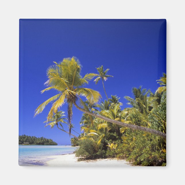 Palmengesäumter Strand Cook Inseln 7 Magnet (Vorne)