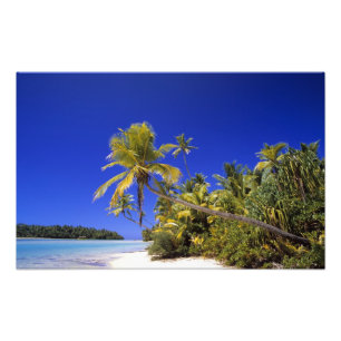 Palmengesäumter Strand Cook Inseln 8 Fotodruck