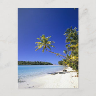 Palmengesäumter Strand Cook Inseln Postkarte