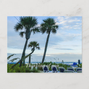Palmenhaine Postkarte