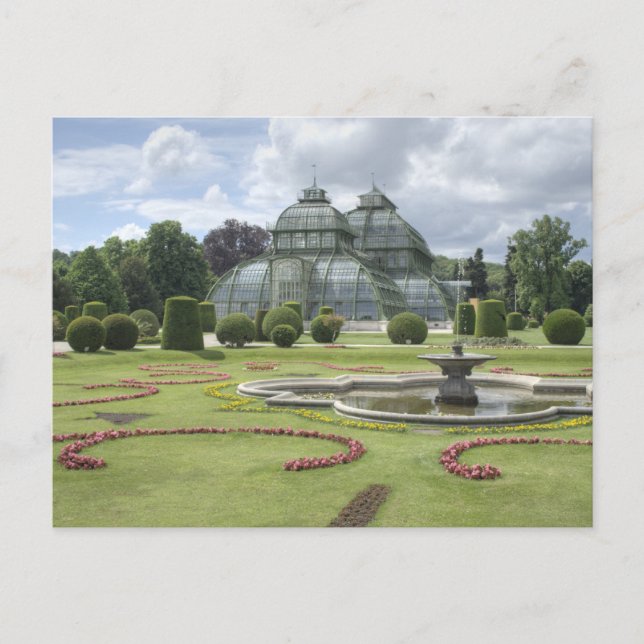 Palmenhaus Postkarte (Vorderseite)
