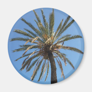 Palmenkrone Magnet