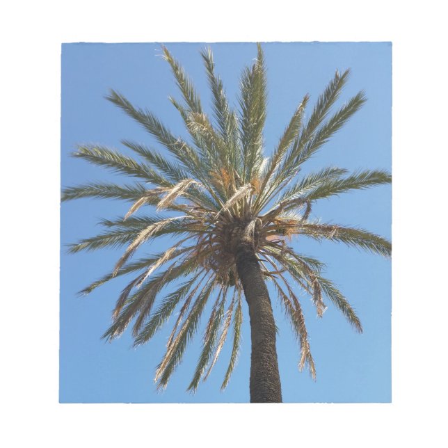 Palmenkrone Notizblock (Vorderseite)