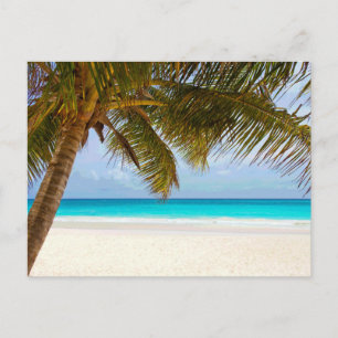 Palmenparadies Blauer Himmel Sonnenschein Postkarte