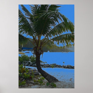 Palmenposter Poster
