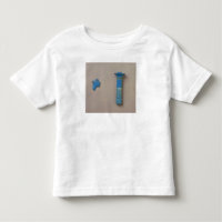 Palmenspalten-Kohl-Flasche und Fragment der