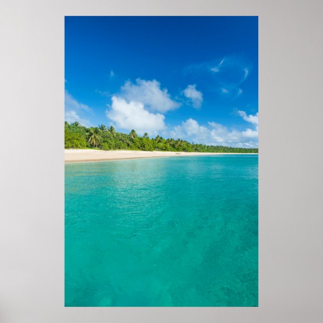 Palmenstrand, Tonga Poster (Vorne)