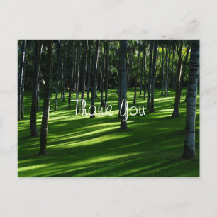 Palmenwald Danke Postkarte