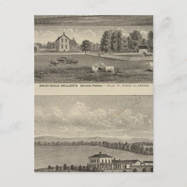 Palmer Ranch, Kansas Postkarte (Vorderseite)