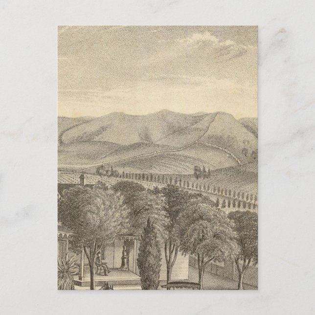 Palmer res, Weinberg Postkarte (Vorderseite)
