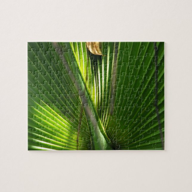 Palmetto-Foto schließen (Horizontal)