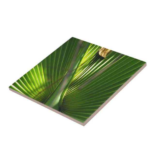 Palmetto-Foto schließen Fliese (Seite)