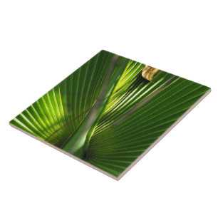 Palmetto-Foto schließen Fliese