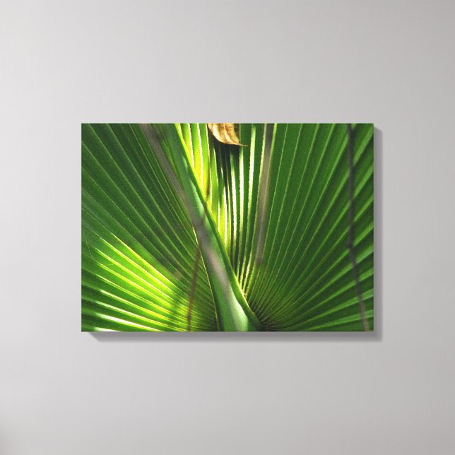 Palmetto-Foto schließen Leinwanddruck (Vorderseite)