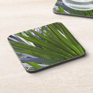 Palmetto Tropicale Getränkeuntersetzer