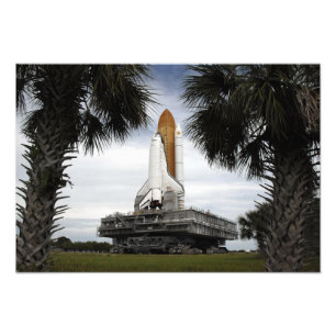 Palmettobaumrahmen-Raumfähre Bemühung Fotodruck