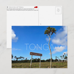 Palmier à trois têtes, Tonga Carte postale de voya