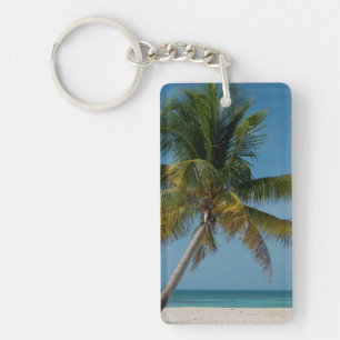 Palmier et plage de sable blanc 2
