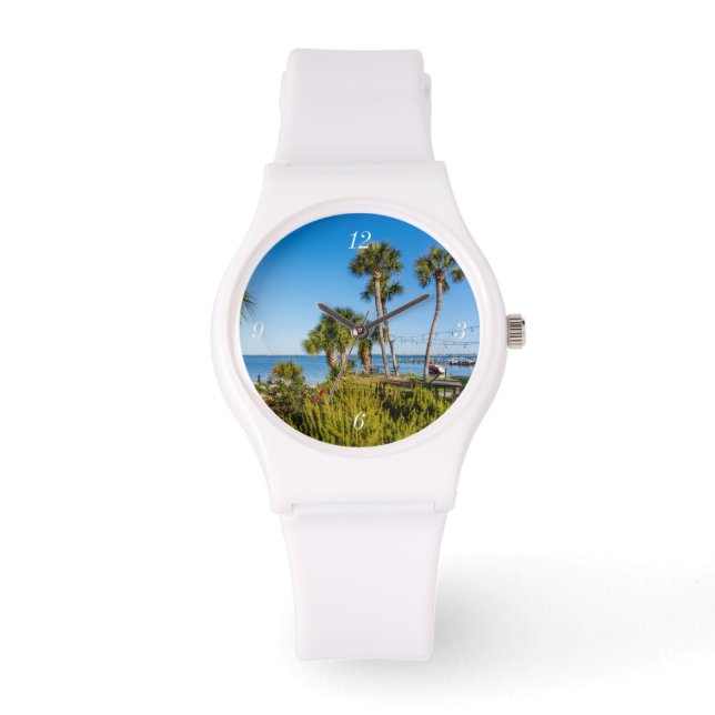 Palmiers Bayside Matin Montre Sportive (Recto)