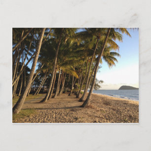 Palmiers et carte postale de plage