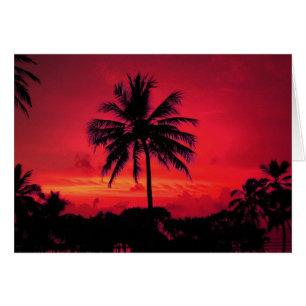 Palmiers exotiques du coucher de soleil de l'Hawaï