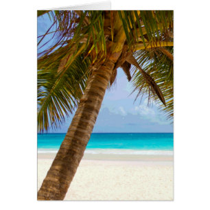 Palmiers sur la plage Mer Bleue & Ciel