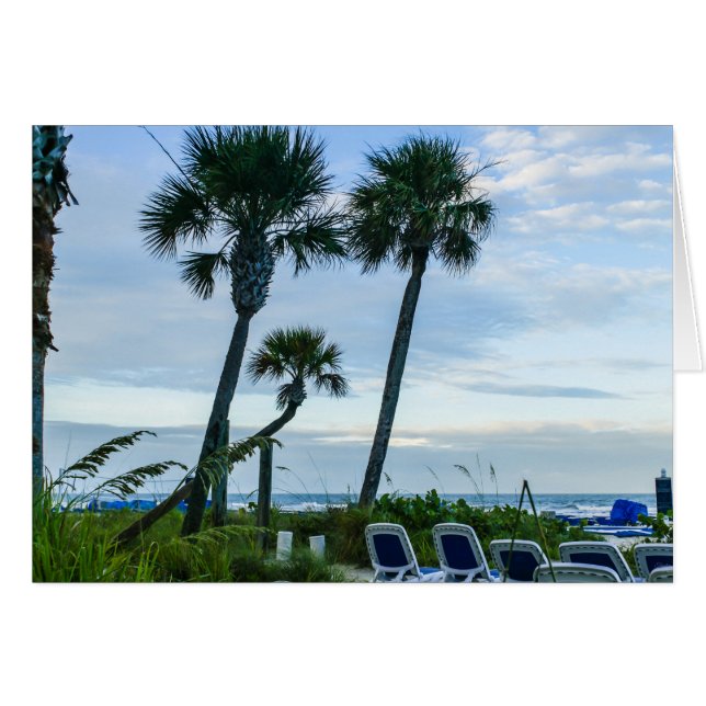 Palmiers tordus (Devant horizontal)